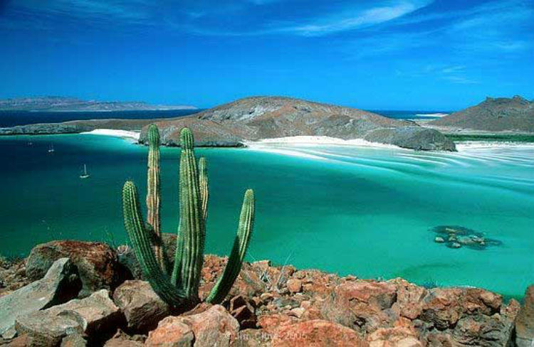 5 Destinos turísticos de Baja California : Inmobiliare