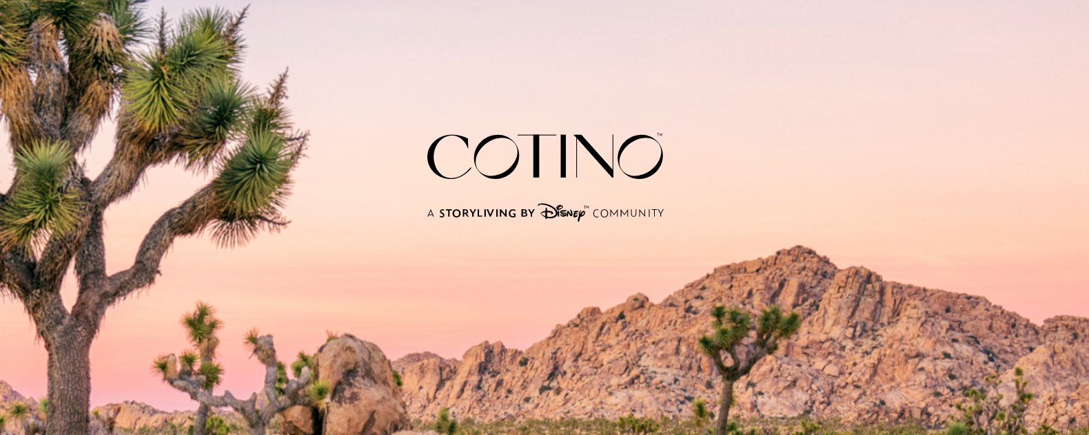 Storyliving-Disney-cotino