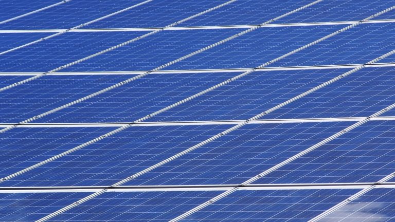 Portafolio de proyectos solares de Energía Real alcanza capacidad de 50 megawatts 