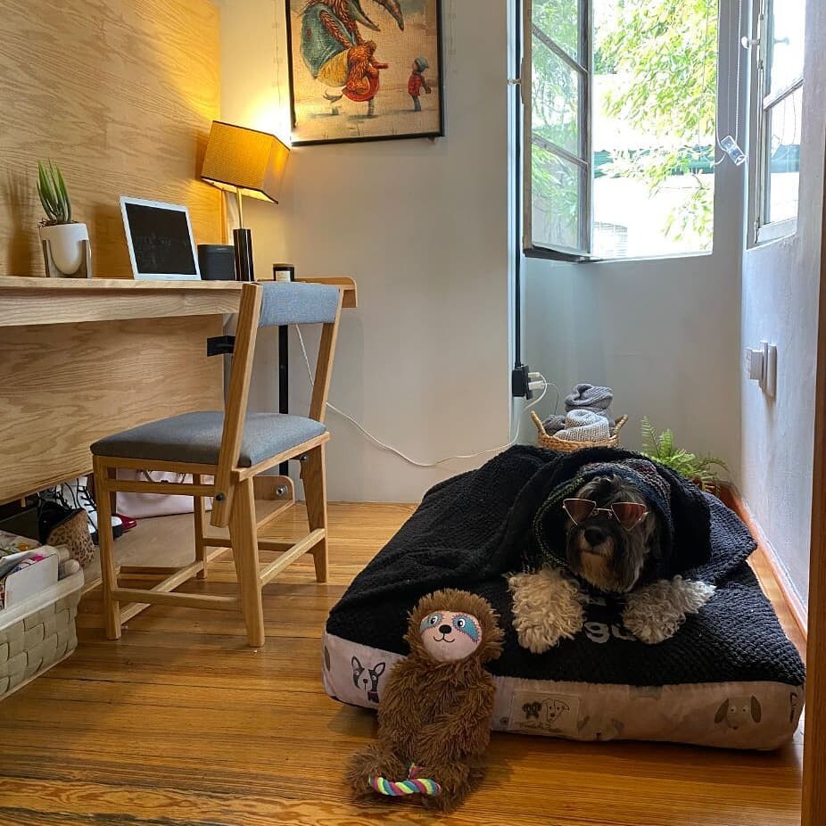 hi-hab-coliving-alt