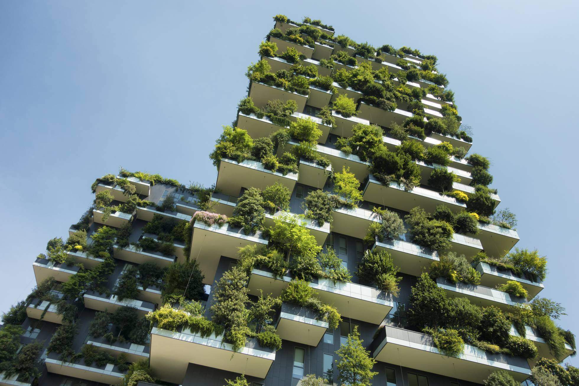 Tendencias de la arquitectura sustentable para 2024