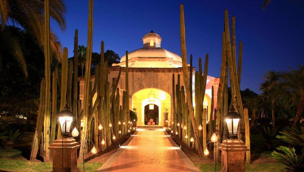 tequila-jalisco-alt