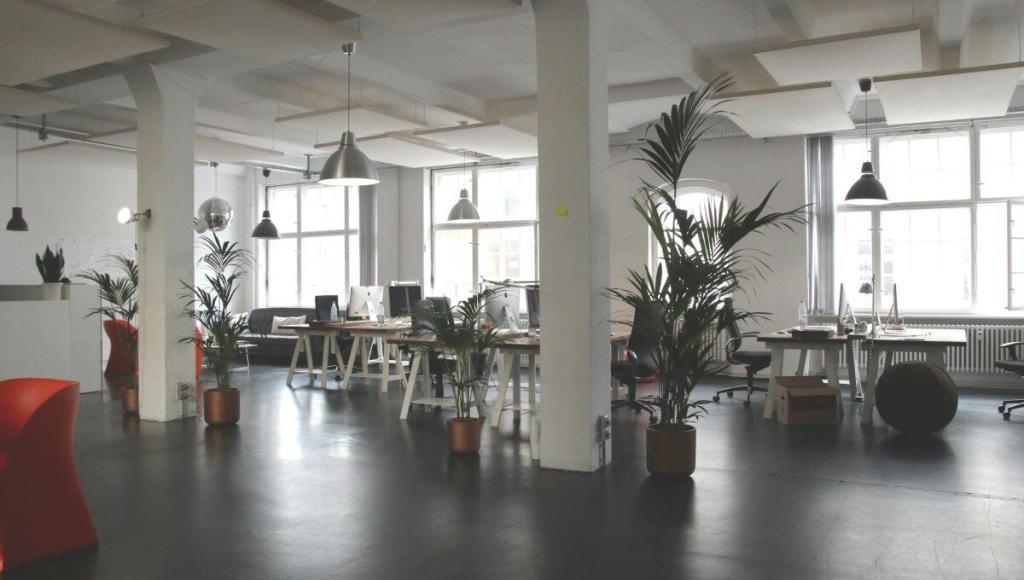 oficinas-en-mexico-alt