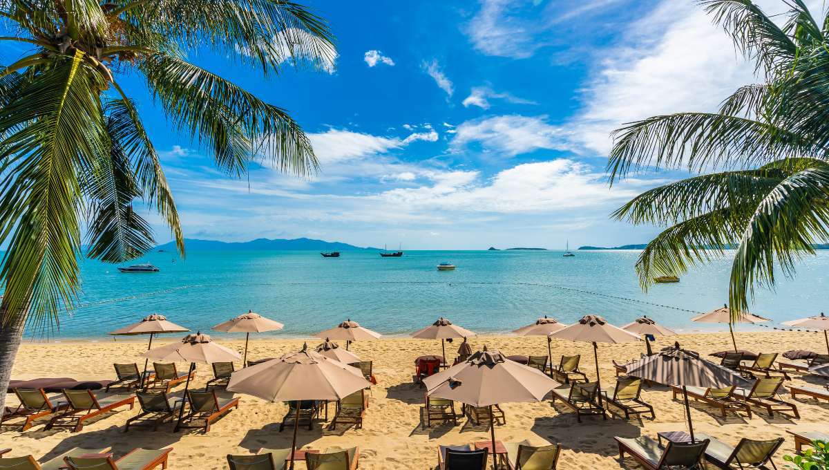 Una exclusiva franja de playa en Cancún exhibe elegantes camastros y sombrillas perfectamente alineados sobre la fina arena blanca, enmarcados por palmeras que ofrecen sombra natural. Desde este privilegiado entorno, se aprecian las tranquilas aguas azul turquesa del Mar Caribe y la elegante presencia de embarcaciones navegando a lo lejos bajo un cielo parcialmente despejado. Este escenario representa la máxima expresión del lujo frente al mar, diseñado para quienes buscan invertir o residir en propiedades premium con acceso directo a las mejores amenidades naturales y vistas incomparables.