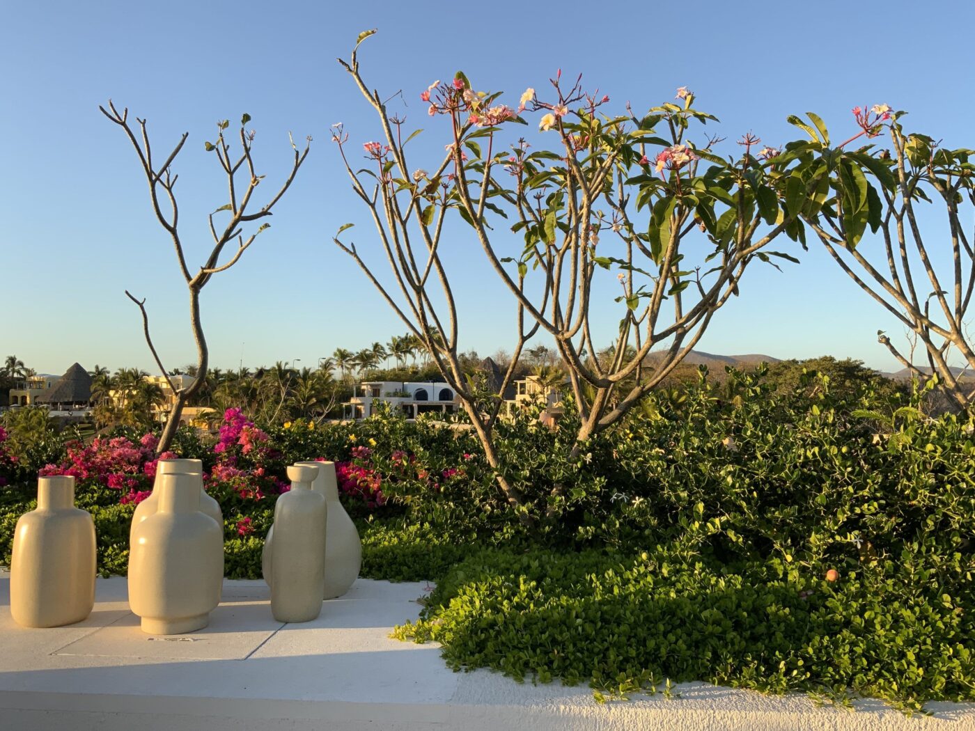 dia-arquitectura-de-paisaje-alt