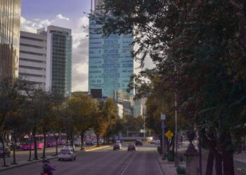 Una avenida arbolada en una zona privilegiada de Ciudad de México presenta impresionantes rascacielos modernos, que sientan las bases para un estilo de vida urbano exclusivo y dinámico. El flujo continuo de vehículos por el bulevar -incluidos los coches privados y el transporte público de alta gama- pone de relieve una conectividad eficiente bajo un cielo amplio. Este entorno encarna a la perfección el codiciado concepto de "ciudad en 15 minutos", donde los servicios de clase mundial, los espacios verdes y los vibrantes distritos de negocios convergen a poca distancia, una oportunidad de inversión favorecida por los compradores más exigentes en medio de una nueva era de planificación urbana transformadora.