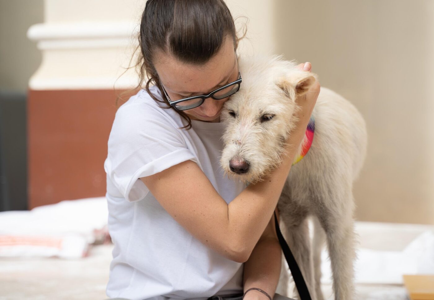 Mujer abraza a perro blanco. Ley Pet Friendly en Ohio podría permitir más mascotas en alquileres. Fomento de adopción y tenencia responsable.