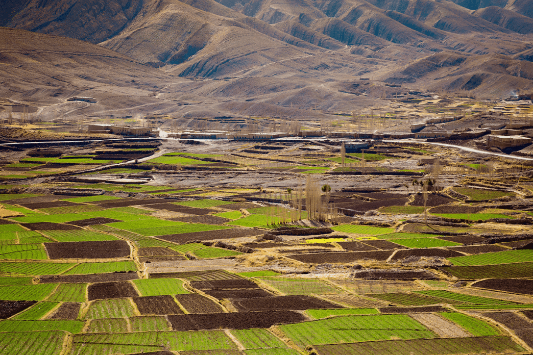 city/destination

Vista aérea de campos cultivados en zona montañosa. Arquitectura sostenible y agricultura combaten la desertificación. #InmobiliareSummits #México #LATAM