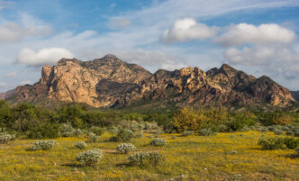 Paisaje de Sonora con montañas rocosas y vegetación baja. Inversión de ASK Industries crea un entorno próspero. Cielo azul con nubes tenues.
