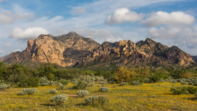 Paisaje de Sonora con montañas rocosas y vegetación baja. Inversión de ASK Industries crea un entorno próspero. Cielo azul con nubes tenues.