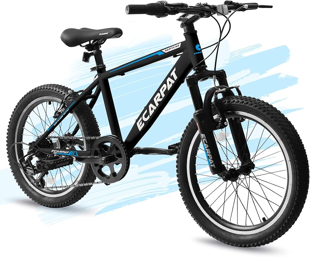 Here's the alt text for the image:

Bicicleta Ecarpat negra y azul. Solución de movilidad urbana para ciudades como Ámsterdam. Movilidad sostenible en LATAM.