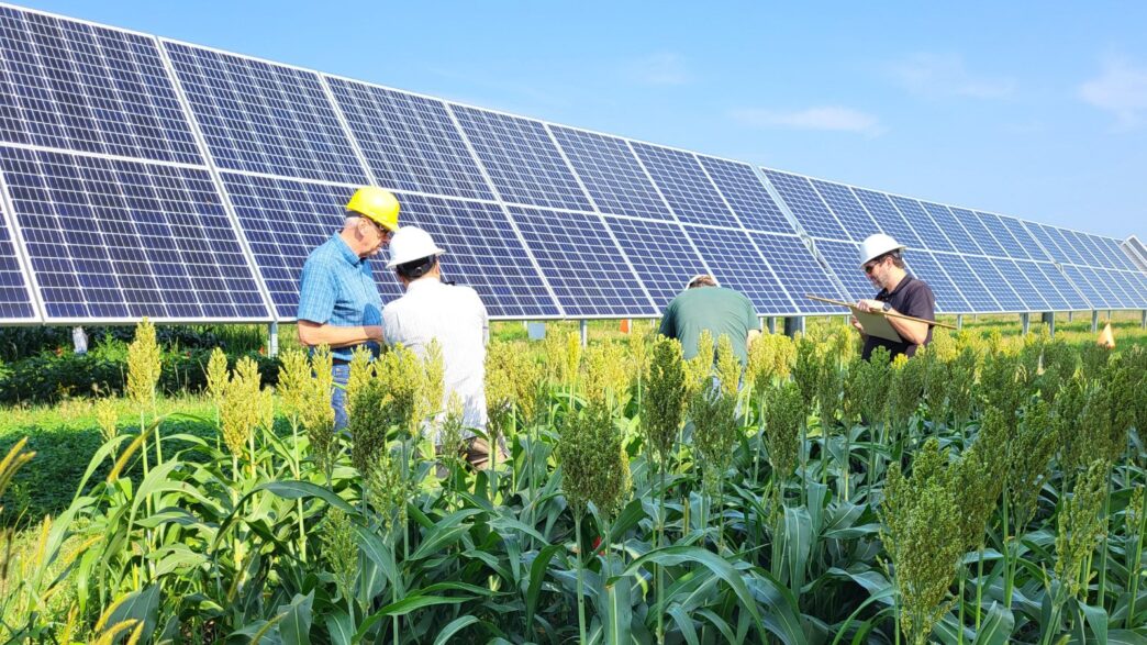 Ingenieros inspeccionan campo de sorgo junto a paneles solares en Texas, impulsando la financiación de biocombustibles y el real estate verde.