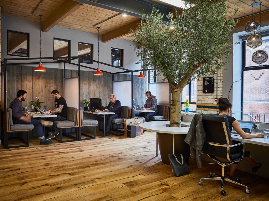 Venue/architecture.

Espacio de coworking moderno con personas trabajando en sus computadoras portátiles. Diseño biofílico con árbol interior. Oficina, trabajo, diseño.