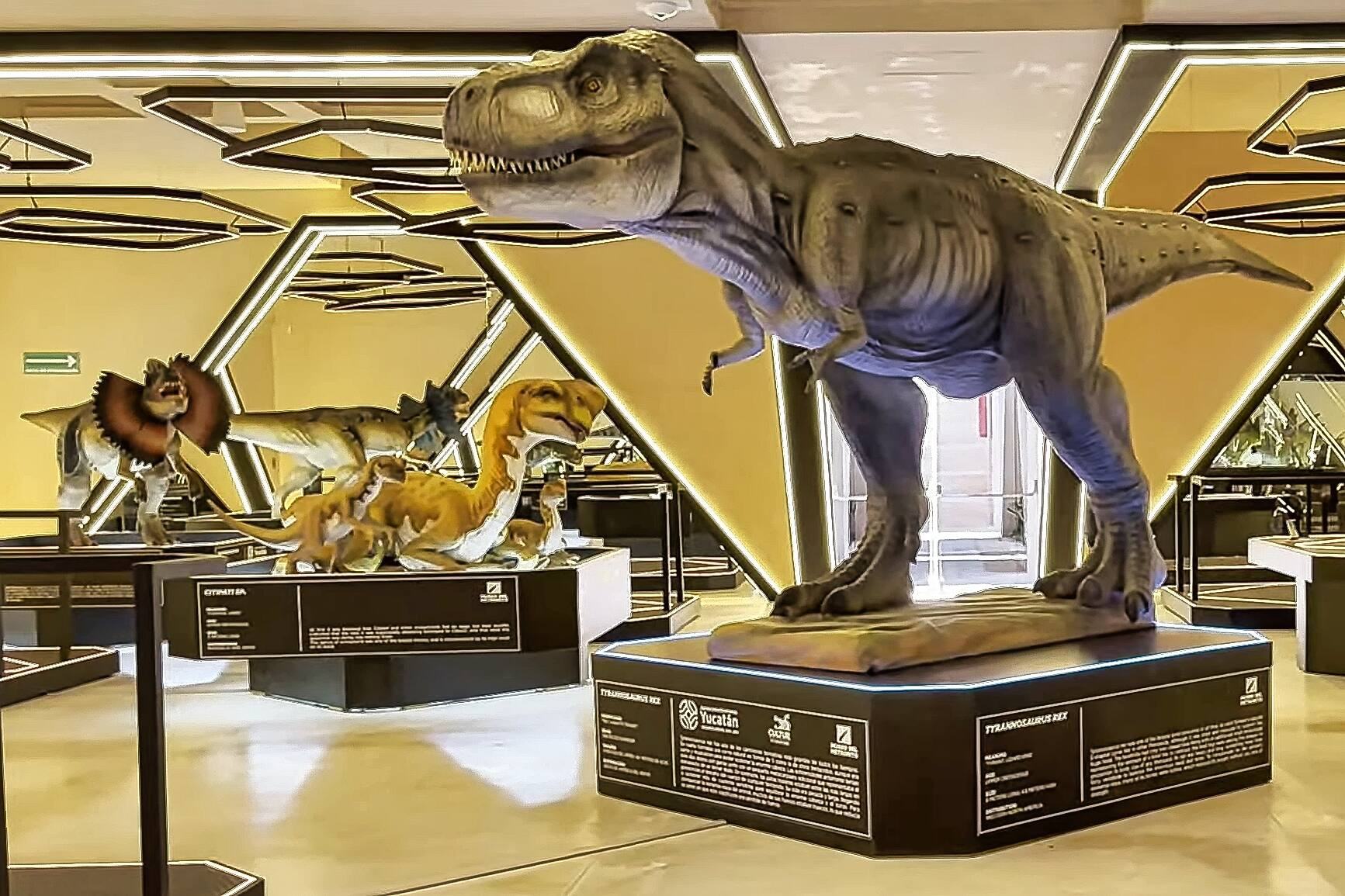 Venue/architecture.

Exhibición de dinosaurios en el Museo de la Luz, Yucatán. Arquitectura moderna en México. #InmobiliareSummits #RealEstate #Conference