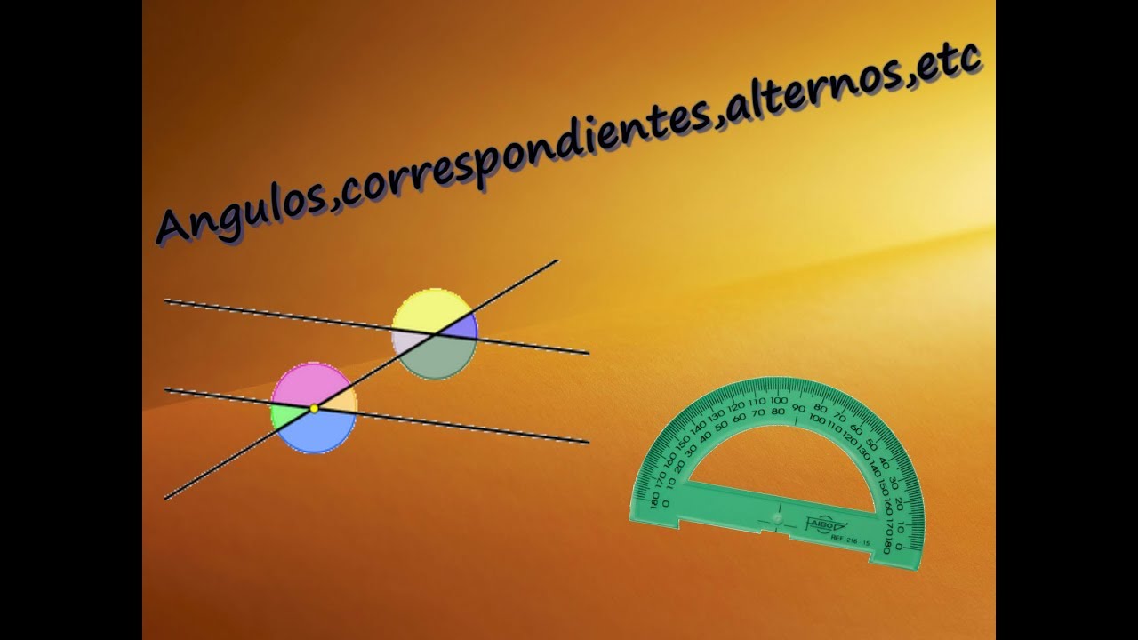 The image does not relate to the keywords provided.