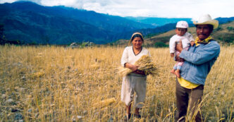 Familia rural en campo de trigo, reflejo del rezago habitacional en CDMX post Covid-19. Mujer con gavilla, hombre con bebé. Paisaje montañoso.