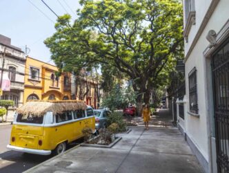 city/destination

Calle arbolada en CDMX, México, con arquitectura colorida. Inversión inmobiliaria atractiva en la ciudad. #InmobiliareSummits #RealEstate #CDMX