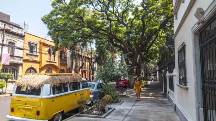 city/destination

Calle arbolada en CDMX, México, con arquitectura colorida. Inversión inmobiliaria atractiva en la ciudad. #InmobiliareSummits #RealEstate #CDMX