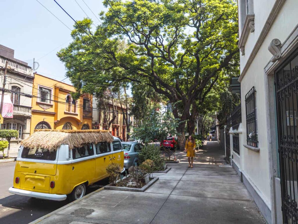 city/destination

Calle arbolada en CDMX, México, con arquitectura colorida. Inversión inmobiliaria atractiva en la ciudad. #InmobiliareSummits #RealEstate #CDMX