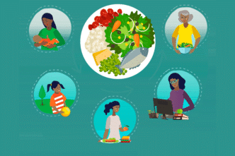 Nutrición equilibrada en diferentes etapas de la vida. Ilustración de plato con pescado, ensalada y otros alimentos. Salud y bienestar.