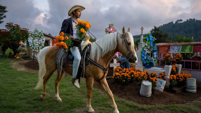 city/destination
Día de Muertos en México: hombre a caballo lleva flores de cempasúchil en cementerio. Tradición turística en LATAM. #DíaDeMuertos #Mexico