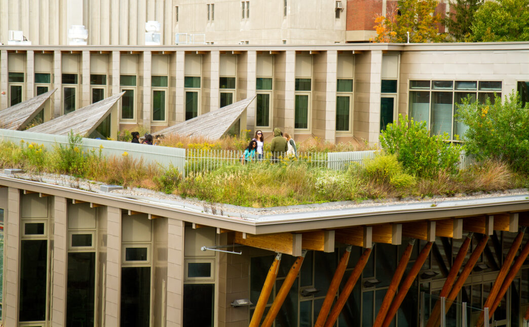 Vista del techo verde en SUNY Adirondack, ejemplo de eficiencia energética y sostenibilidad. Personas disfrutan del espacio, parte de la transformación.