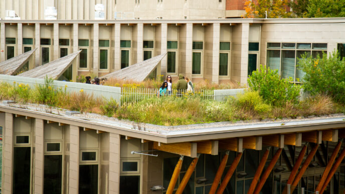 Vista del techo verde en SUNY Adirondack, ejemplo de eficiencia energética y sostenibilidad. Personas disfrutan del espacio, parte de la transformación.