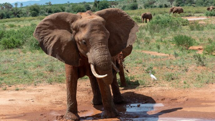 No es posible relacionar la imagen con la información de contexto proporcionada.