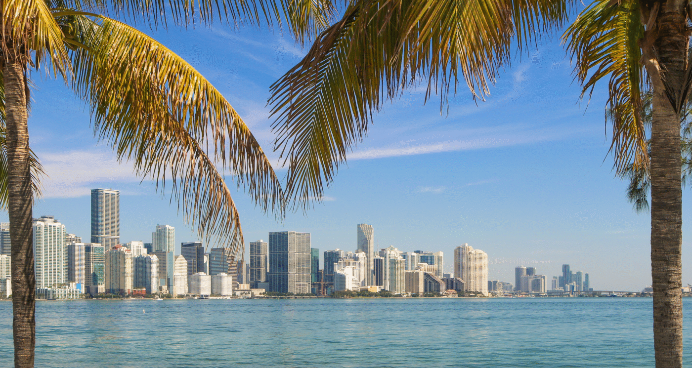 City/Destination
Miami, destino de Inmobiliare Summits. Vista del horizonte urbano y el mar, palmeras en primer plano. El auge inmobiliario atrae inversores LATAM.