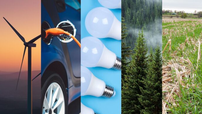 Collage de energías renovables: eólica, coche eléctrico, bombillas LED, bosque y campo. Mitigación de riesgos en proyectos de energía renovable.