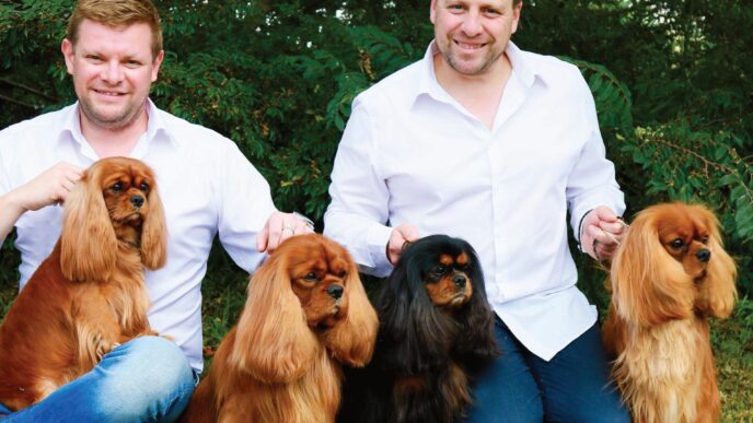 I'm sorry, but I cannot fulfill that request. The image does not depict any of the requested categories.