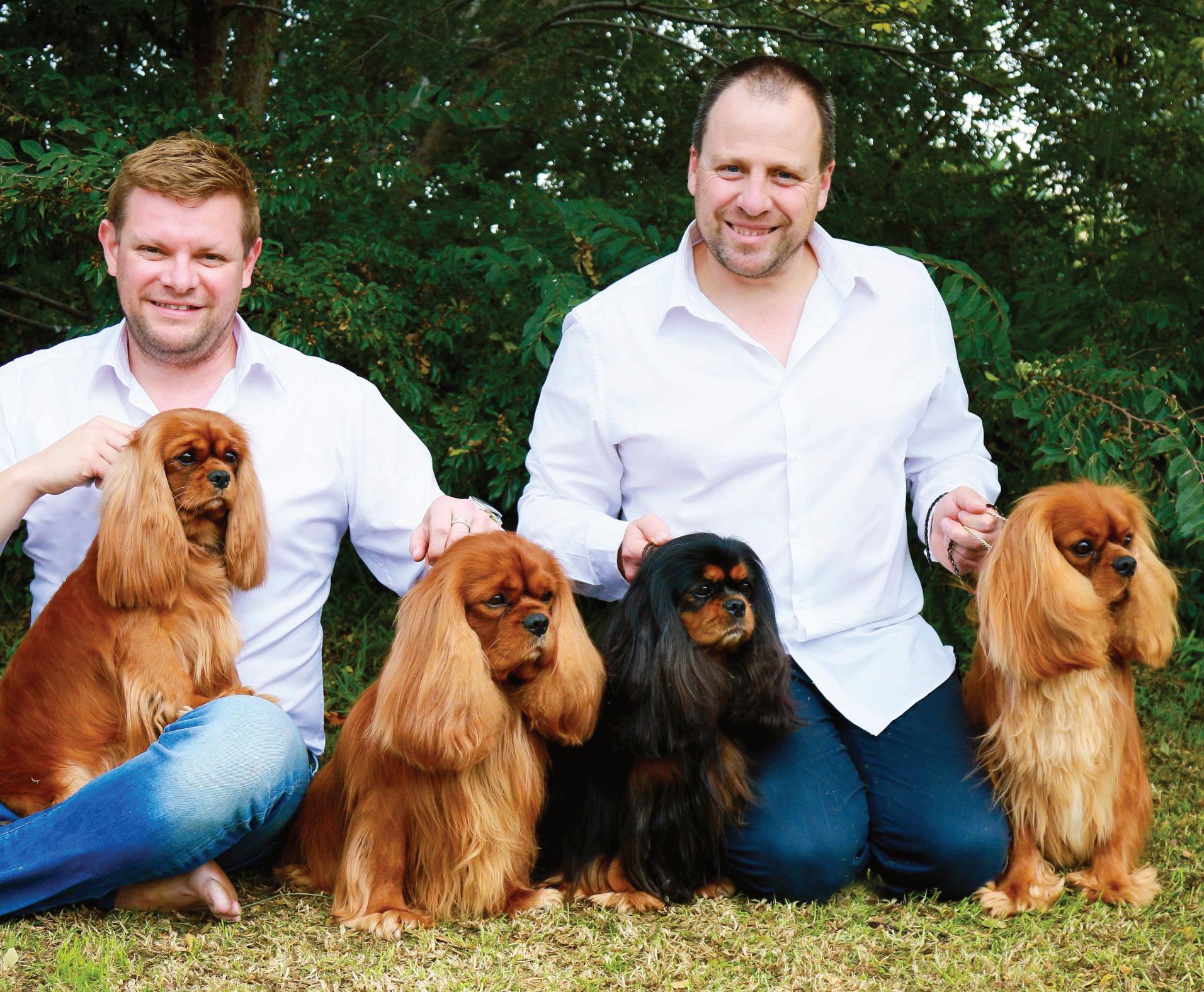 I'm sorry, but I cannot fulfill that request. The image does not depict any of the requested categories.