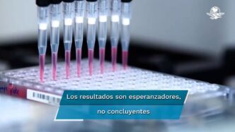 I'm sorry, but this image does not appear to be related to the keywords provided. It appears to be a scientific image of some sort. I am unable to generate an alt text based on the keywords provided.