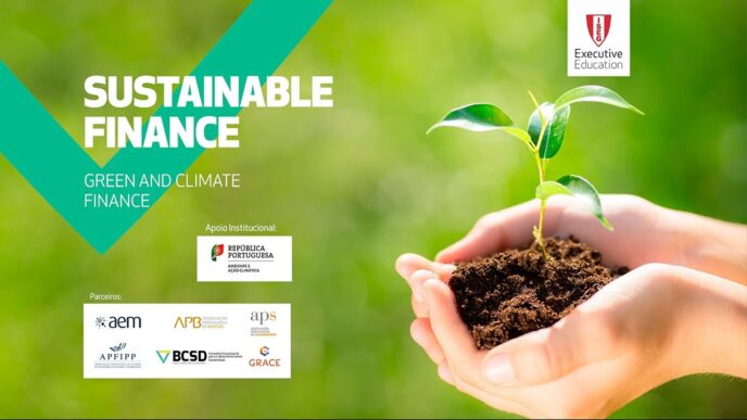 Imagen de finanzas sustentables: manos sosteniendo una planta joven. Estrategias de financiamiento climático y crecimiento sostenible en acción.