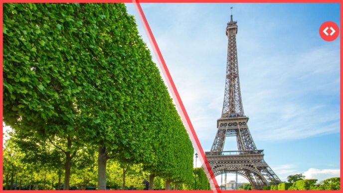 Vista de la Torre Eiffel y árboles, Francia, Airbnb regulado. Ley vivienda vacacional. Paisaje urbano parisino. Turismo y normativa francesa.