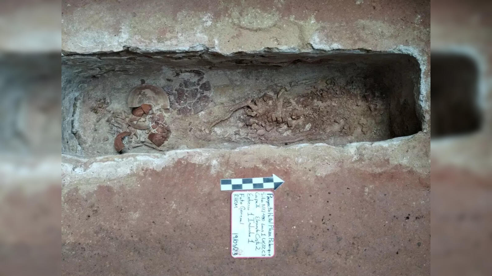 Sitio arqueológico en México, hallazgo durante la construcción de T-MEX Park. Revelación de restos humanos en excavación. #realestate #Mexico