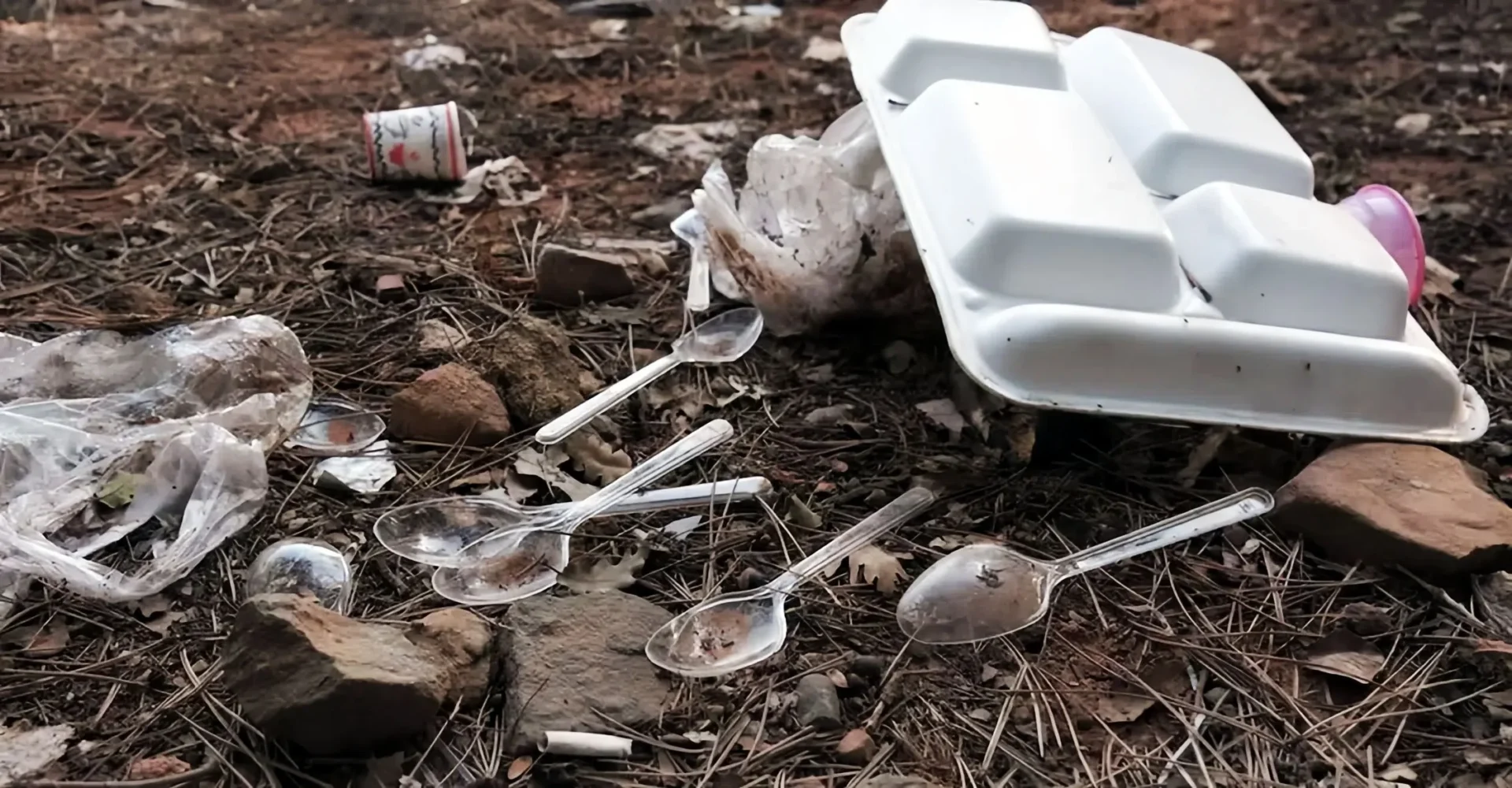 Desechos plásticos en tierra, incluyendo platos y cubiertos. Impacto ambiental en Kerala, gestión sostenible de residuos plásticos, contaminación.