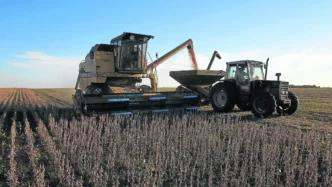 Venue/Architecture.

Cosechadora trabajando en campo de soya. Fibra Nova invierte en espacios industriales y real estate en México, impulsando el crecimiento económico.
