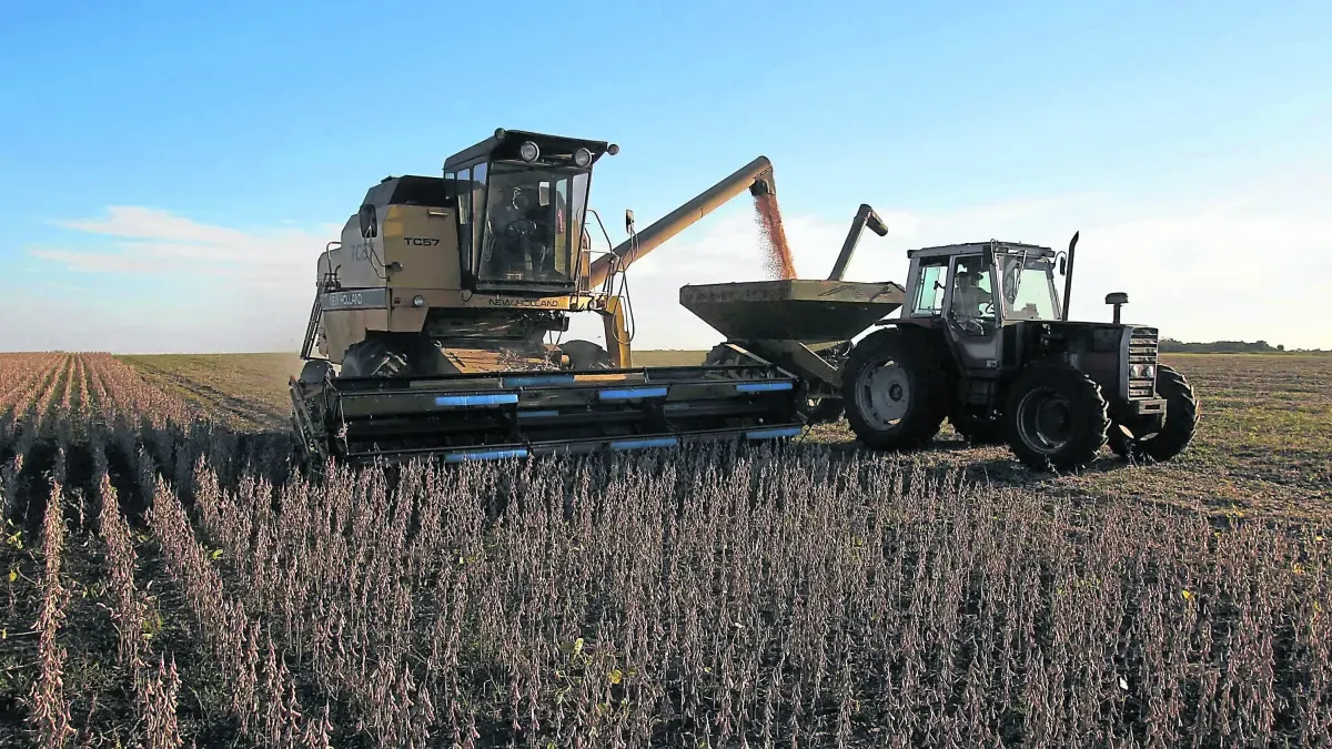 Venue/Architecture.

Cosechadora trabajando en campo de soya. Fibra Nova invierte en espacios industriales y real estate en México, impulsando el crecimiento económico.