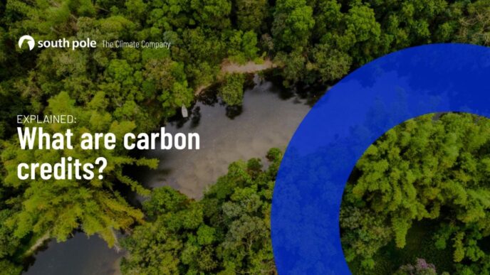 Vista aérea de selva exuberante con lago, texto '¿Qué son los créditos de carbono?' y logo South Pole. Impacto créditos ambientales Real Estate