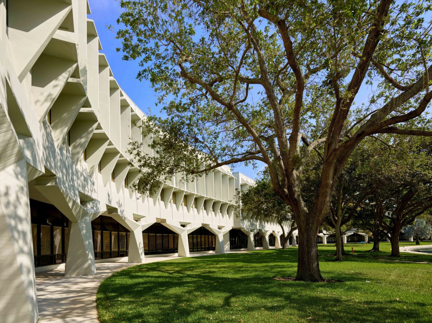 Vista del Boca Raton Innovation Campus, mostrando su arquitectura innovadora y áreas verdes. Impulso al crecimiento económico y tecnológico local. 125