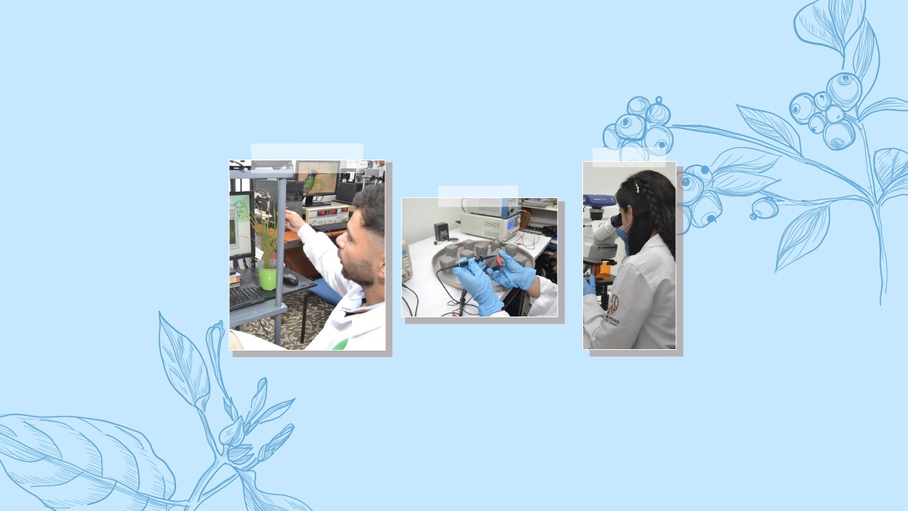 venue/architecture
Ilustración de científicos trabajando en laboratorio. Investigación y desarrollo en LATAM.