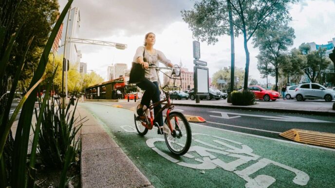 city/destination

Ciclista en carril exclusivo en Ciudad de México. Movilidad urbana sostenible en la capital. Impulso al desarrollo inmobiliario y obras en la ciudad.