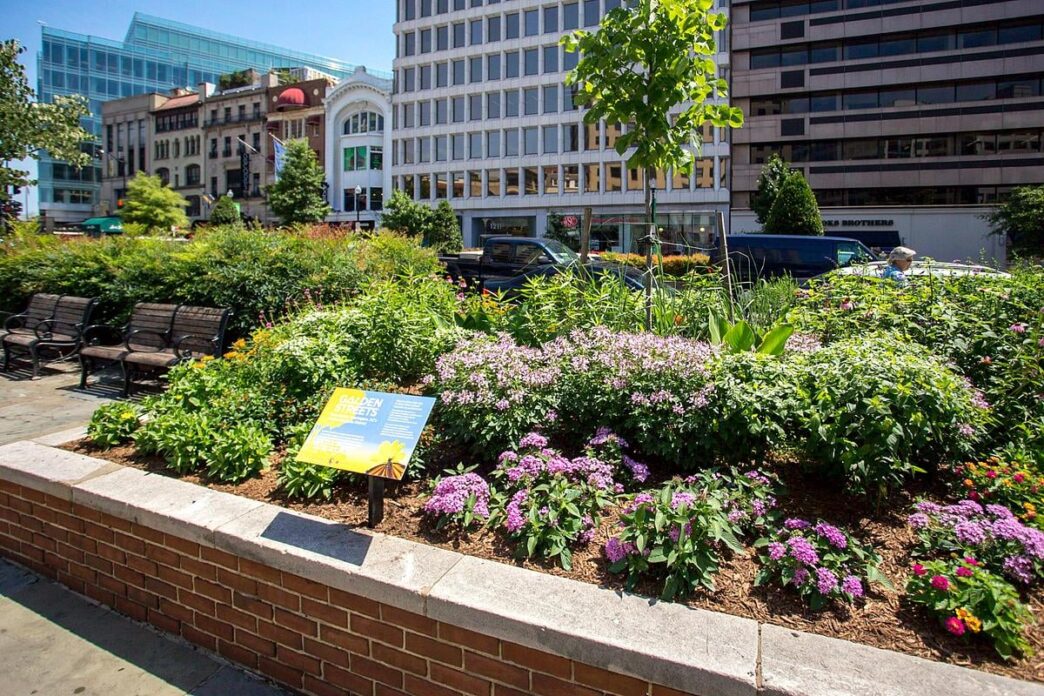 Venue/architecture.

Paisaje urbano con vegetación y edificios. Diseño urbano sostenible para Inmobiliare Summits. Espacios verdes en la ciudad, promoviendo el desarrollo regenerativo.