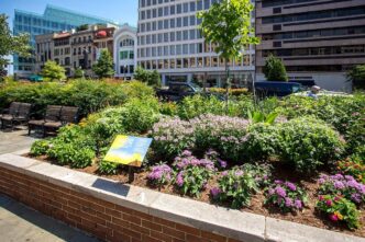 Venue/architecture.

Paisaje urbano con vegetación y edificios. Diseño urbano sostenible para Inmobiliare Summits. Espacios verdes en la ciudad, promoviendo el desarrollo regenerativo.
