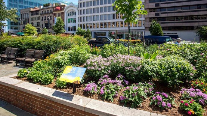 Venue/architecture.

Paisaje urbano con vegetación y edificios. Diseño urbano sostenible para Inmobiliare Summits. Espacios verdes en la ciudad, promoviendo el desarrollo regenerativo.
