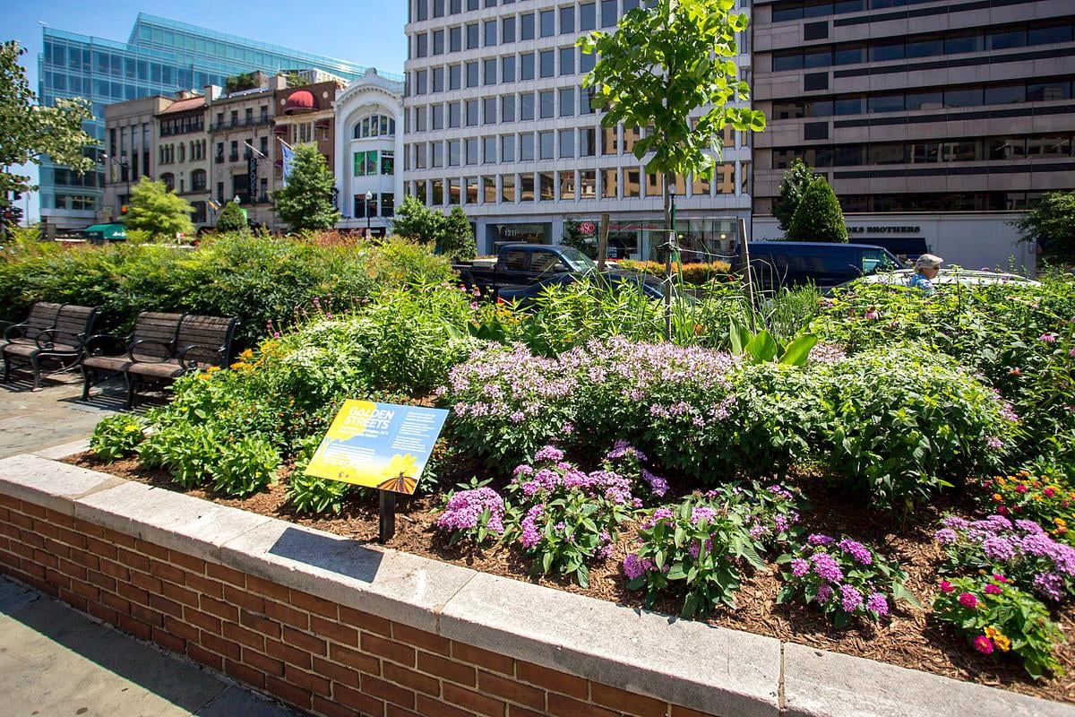 Venue/architecture.

Paisaje urbano con vegetación y edificios. Diseño urbano sostenible para Inmobiliare Summits. Espacios verdes en la ciudad, promoviendo el desarrollo regenerativo.