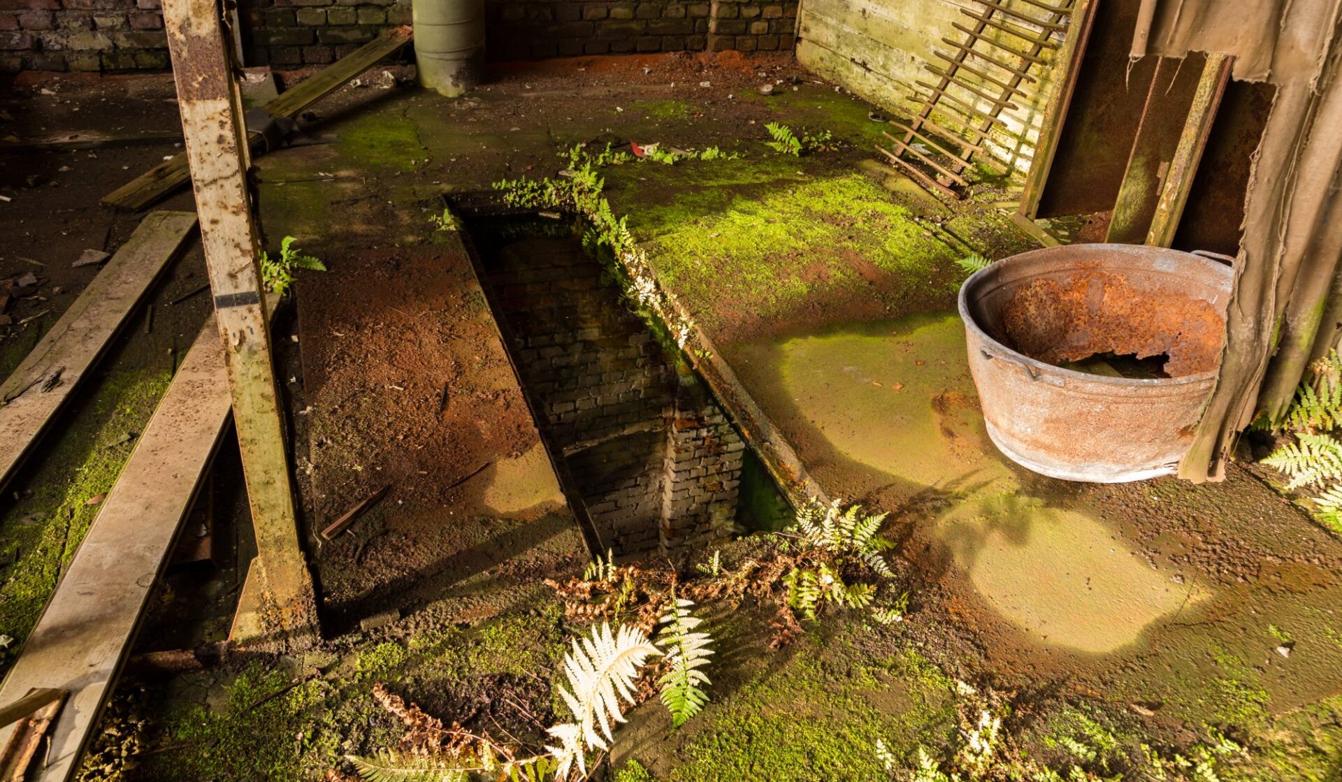 venue/architecture

Espacio industrial abandonado. Detalles de óxido y vegetación. Diseño de **venue** para **Inmobiliare Summits México**.
