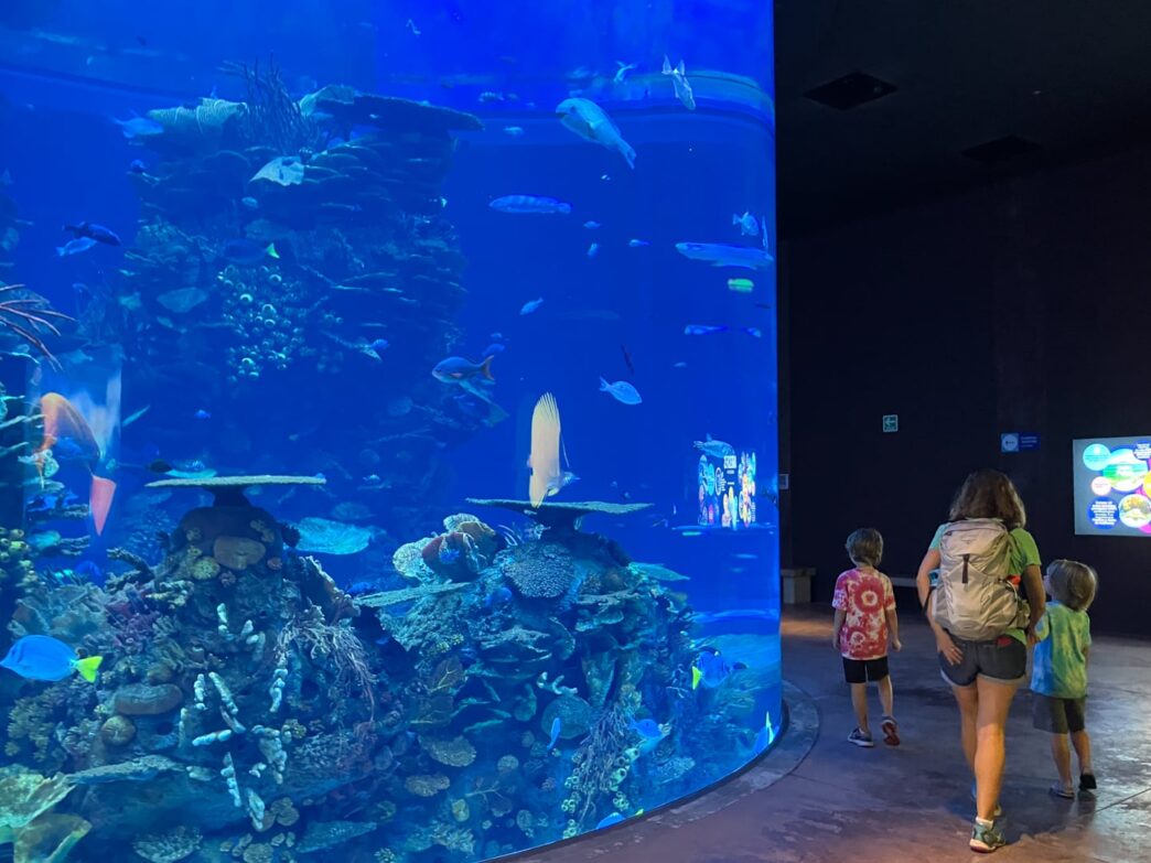venue/architecture

Acuario Inbursa, Ciudad de México. Familia observa tanque de peces tropicales.