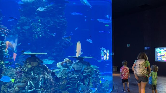 venue/architecture

Acuario Inbursa, Ciudad de México. Familia observa tanque de peces tropicales.